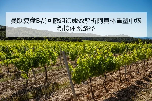 曼联复盘B费回撤组织成效解析阿莫林重塑中场衔接体系路径